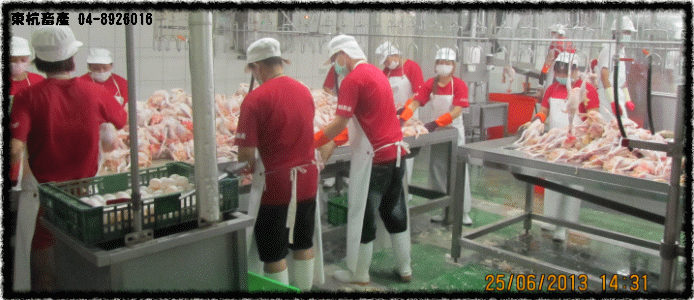 ROC,Taiwan,DongHang,Chicken,Duck,Goose,Slaughterhouse,Electric slaughtering plants,Chicken trade,Duck trade,Goose trade,Business,International trade,Chicken Song,Chicken wire,Chicken strips